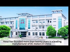 इलेक्ट्रिक मोटर उद्यमों को कैसे जानें?